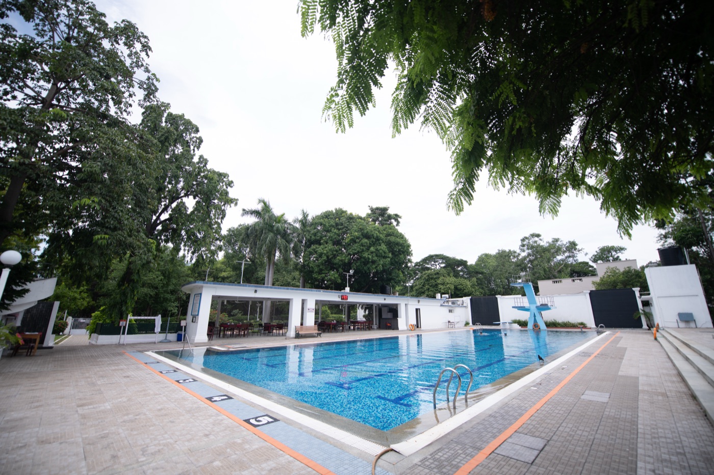 Swimming pool wide view